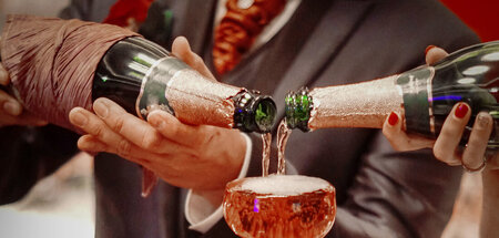 Prost: Beamte, Politiker, Selbständige und Unternehmer profitier...